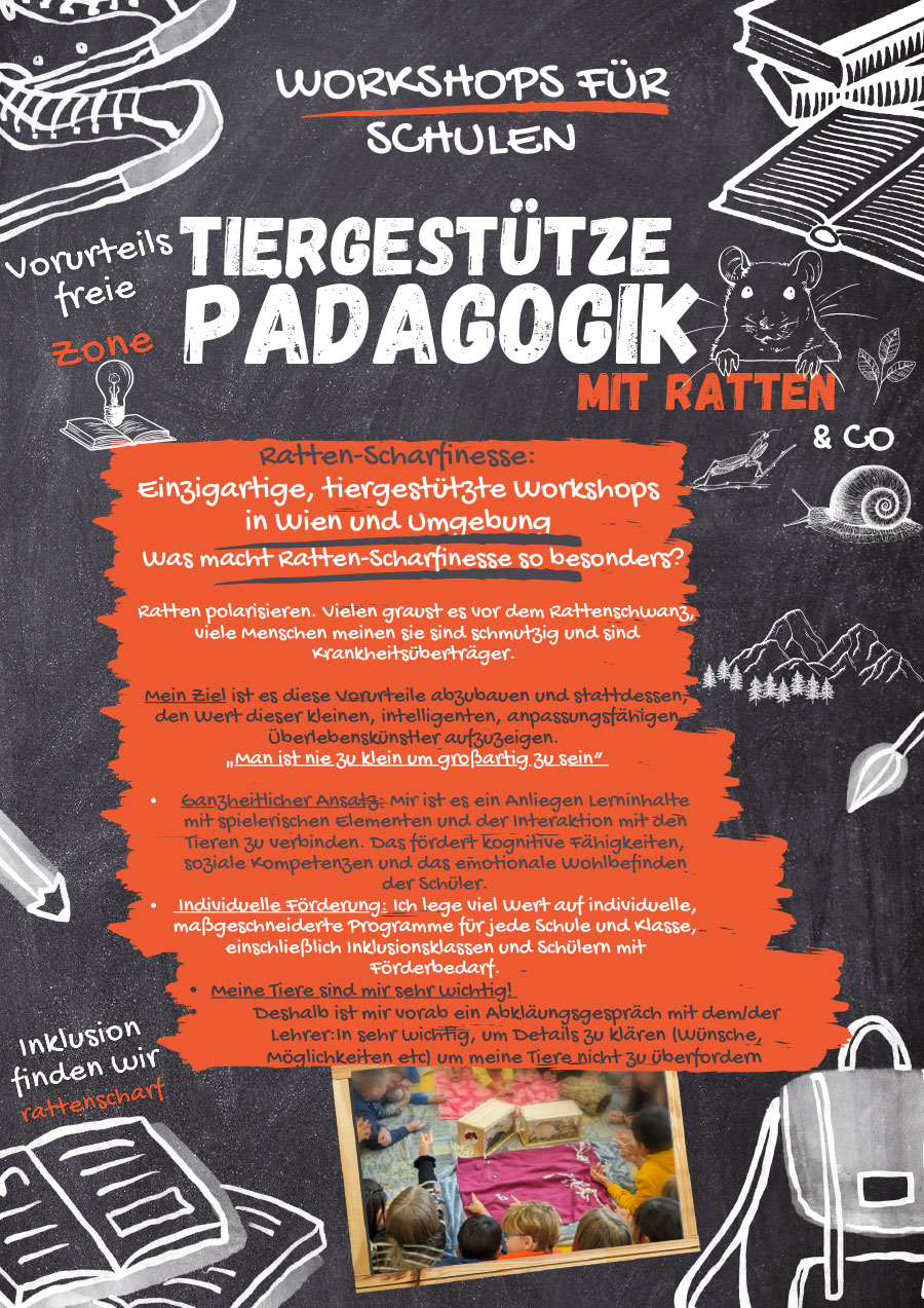 Workshops für Schulen